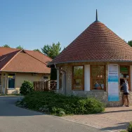 Elérhetőségek