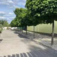 Sörkert Apartmanok