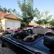 Zárt parkoló