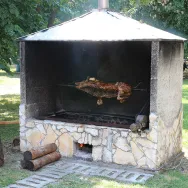 Malacsütés