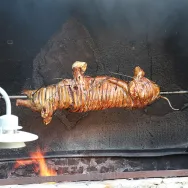 Malacsütés